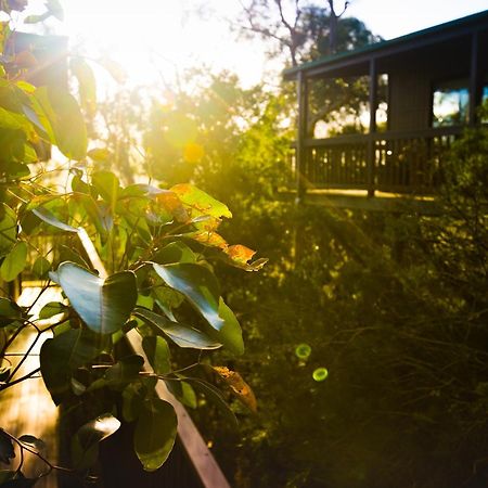 บีคอนพอยต์โอเชี่ยนวิววิลล่า Skenes Creek ภายนอก รูปภาพ